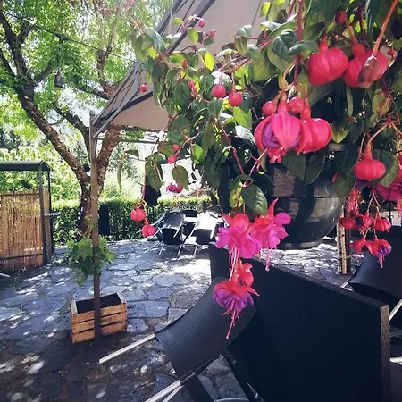 Hotel Restaurant 
